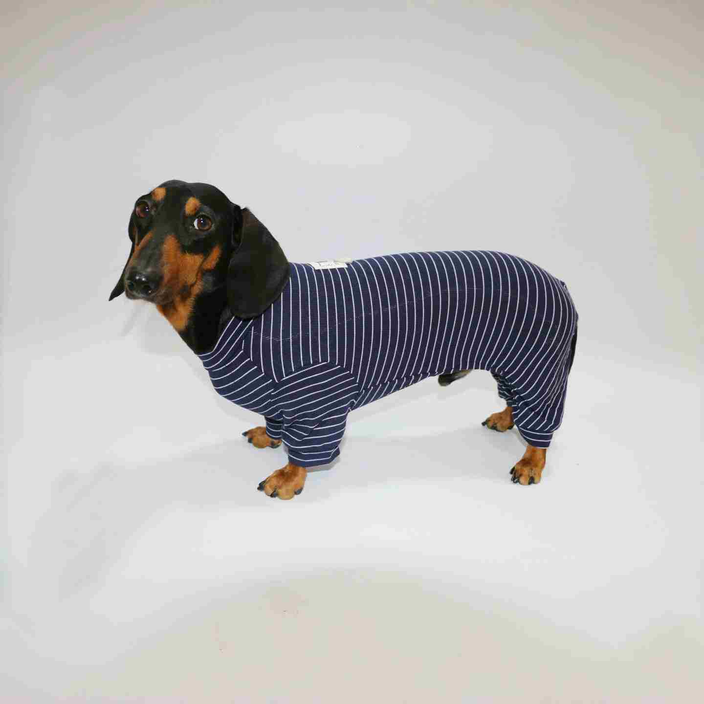 Combinaison Teckel à Rayures - Couverture 4 Pattes pour Corps Allongés