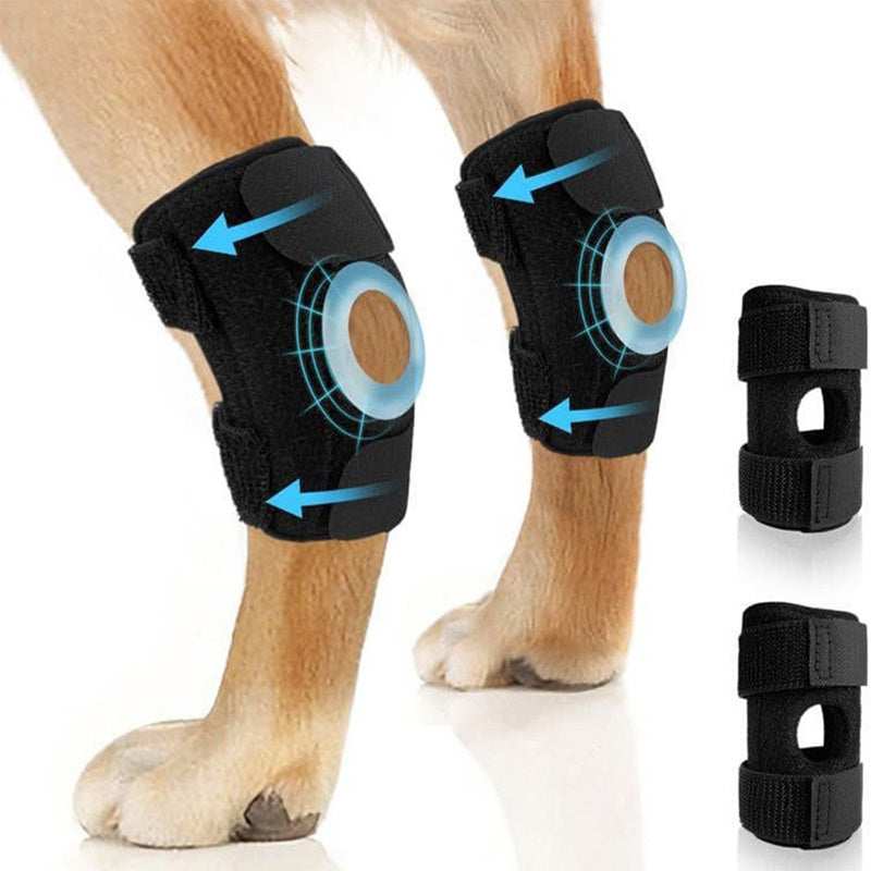 Ginocchiere per Animali Domestici - Supporto per Articolazioni e Recupero Infortuni - Dog Moda