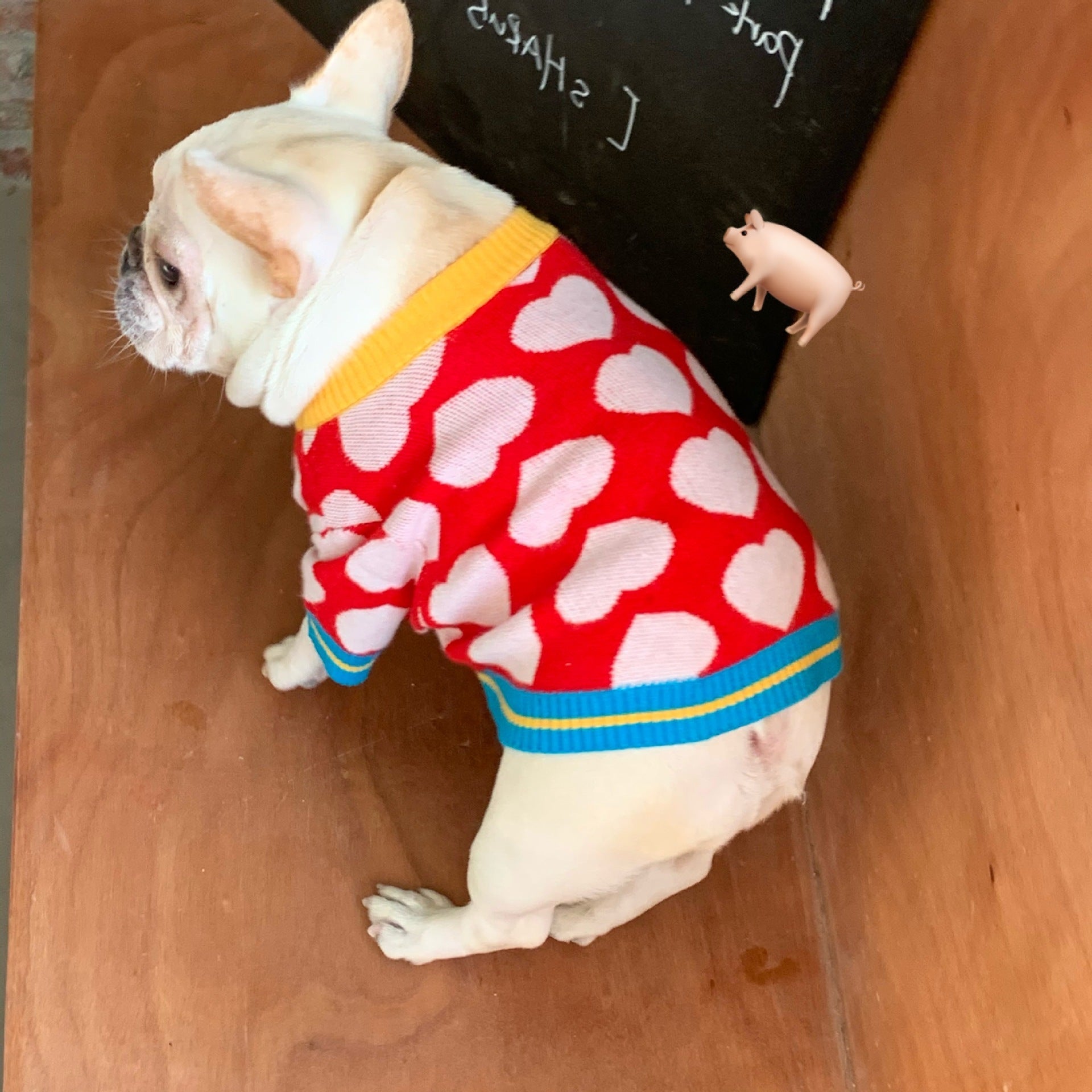 Maglioncino "Rubacuori" per Bulldog e Altri Cani – Cuori Rossi per Scaldare il Tuo Pet con Stile - Dog Moda