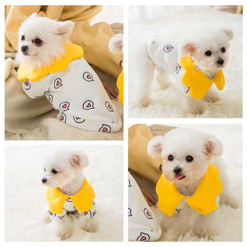 Dog sweater with collar "Shinycat"