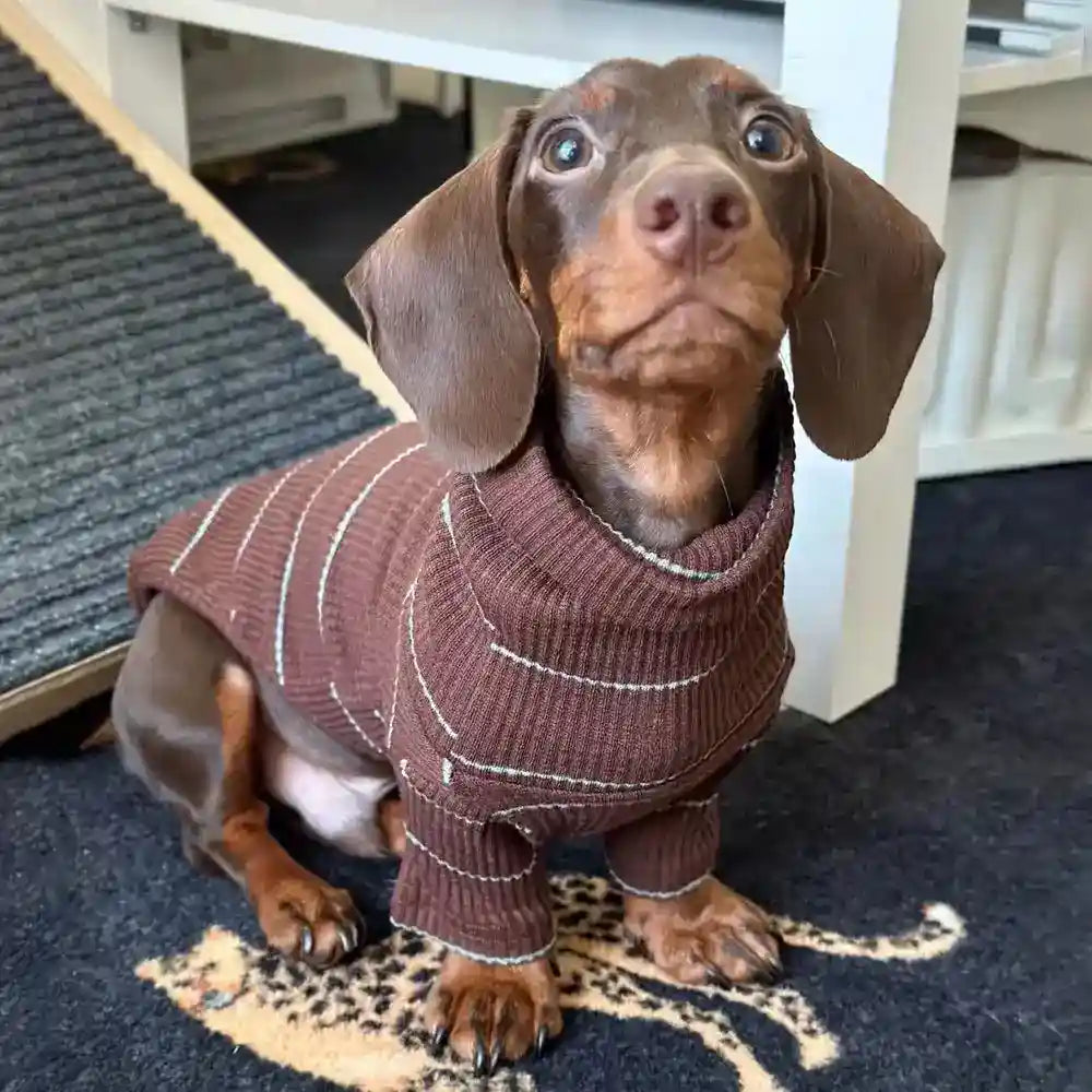 Maglia Bassotto Cani Gatti - Righe Marrone Due Zampe by Dog Moda