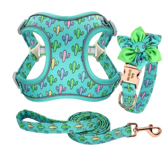 Complete Set of Leash, Collar and Harness "Cuba"