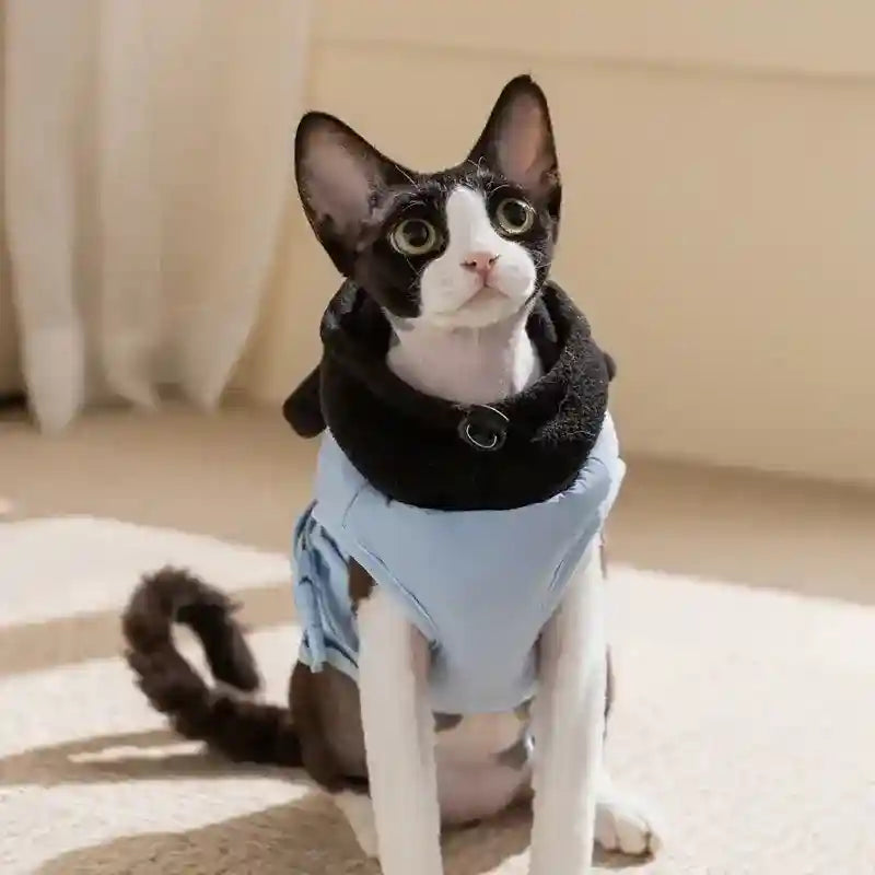 Cappotto Oliver con Cappuccio per Cani e Gatti - XS-XXL by Dog Moda