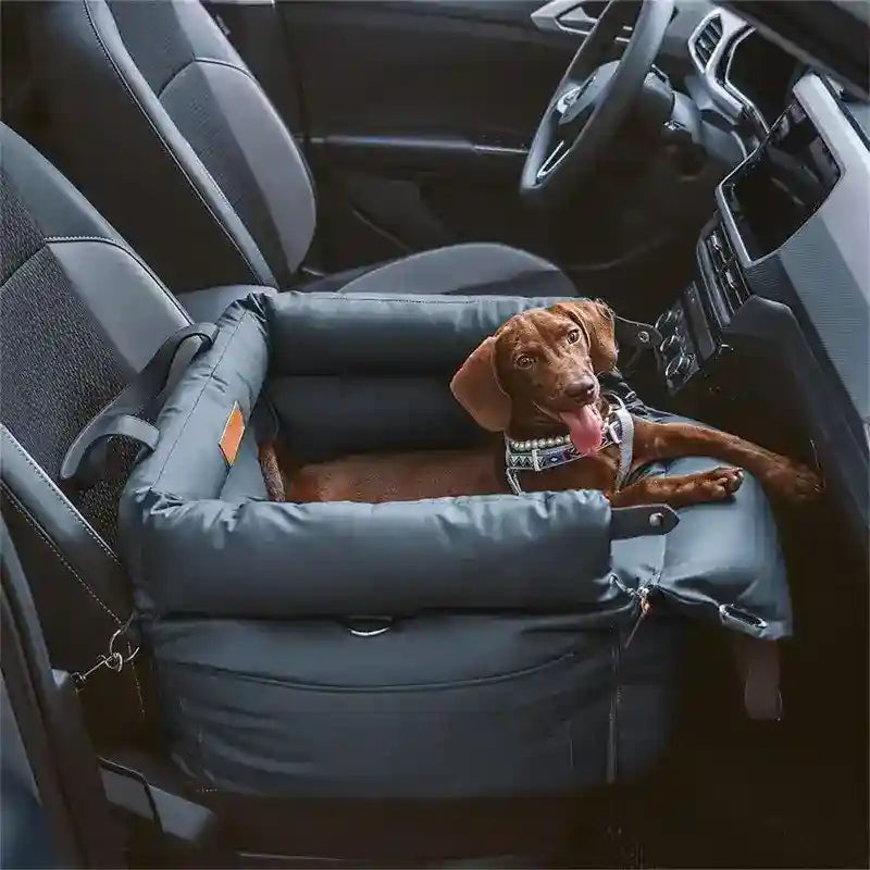 Trasportino per Cani e Gatti - Apribile con Tracolle e Tasca by null