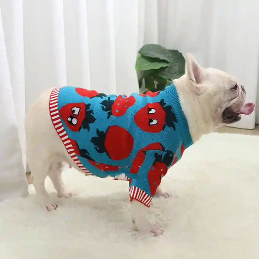 Maglione per Cani Fragola - Caldo e Divertente by Dog Moda