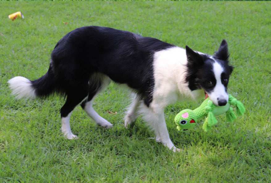 Dog Toy "Woof" - Rope and Plush Elephant or Snake
