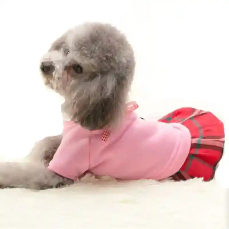 Maglia College Cani - Colletto Stemma Università Maschio Femmina by Dog Moda
