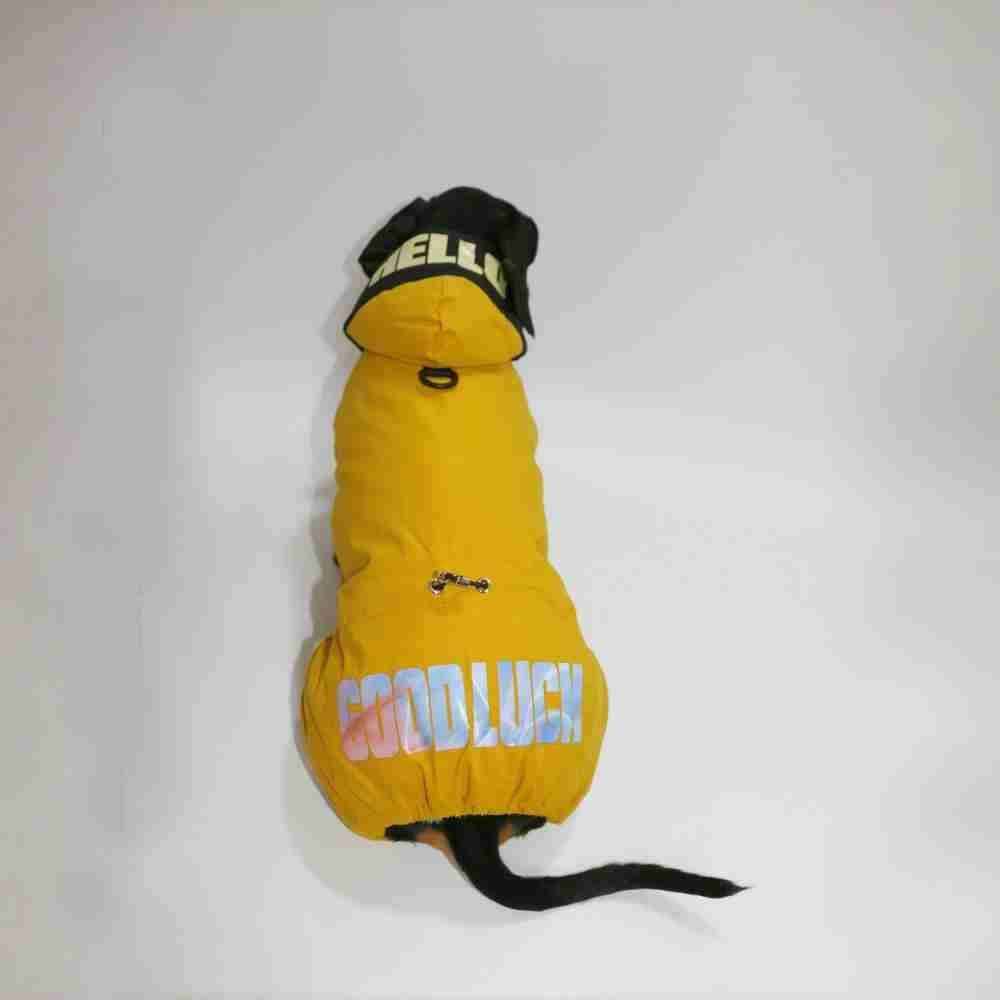 ダックスフント用レインコート「グッドラック」– 暖かく、快適で
