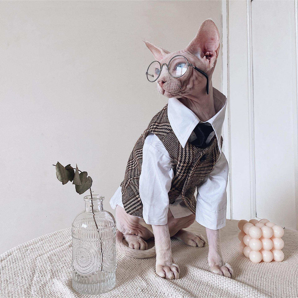 Vestito Elegante per Gatti Sphynx | Completo Giacca e Cravatta | Dogmoda