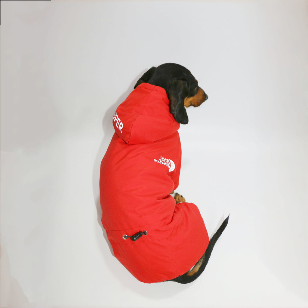 Cappotto per Bassotto “Running” con Cappuccio e Pile