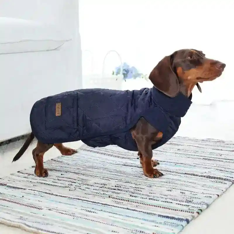 Cappotto Bassotto Doglemi - Idrorepellente Dachshund by Dog Moda