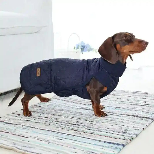 Cappotto Bassotto Doglemi - Idrorepellente Dachshund by Dog Moda