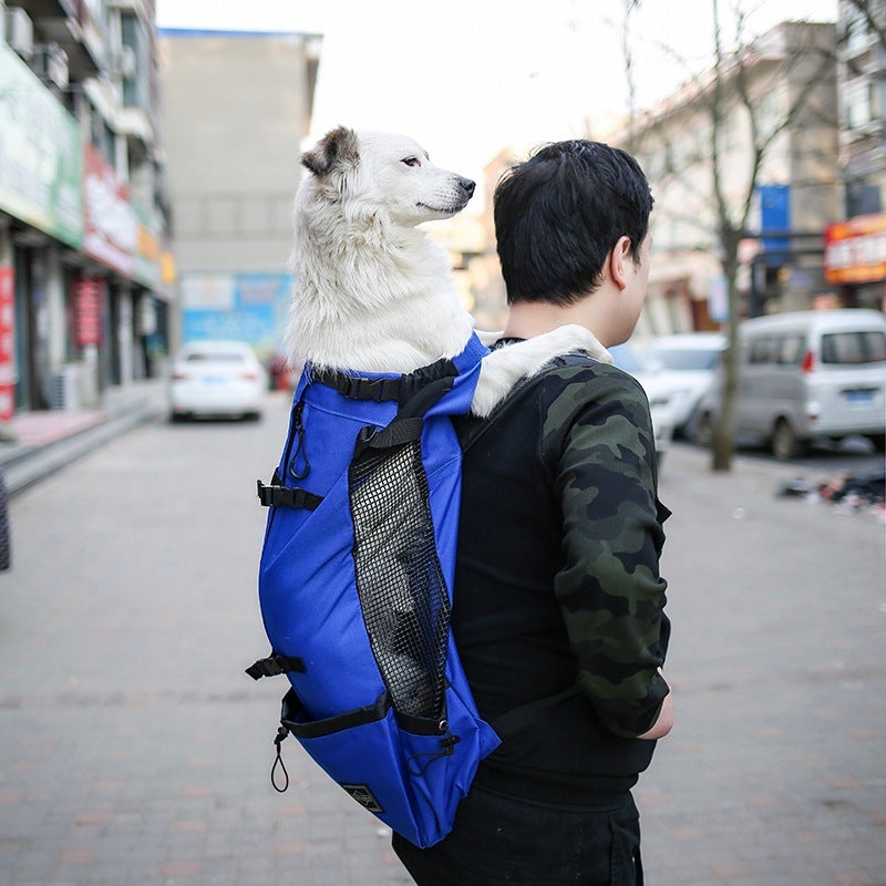 Backpack for medium and small sized dogs "Giramondo"