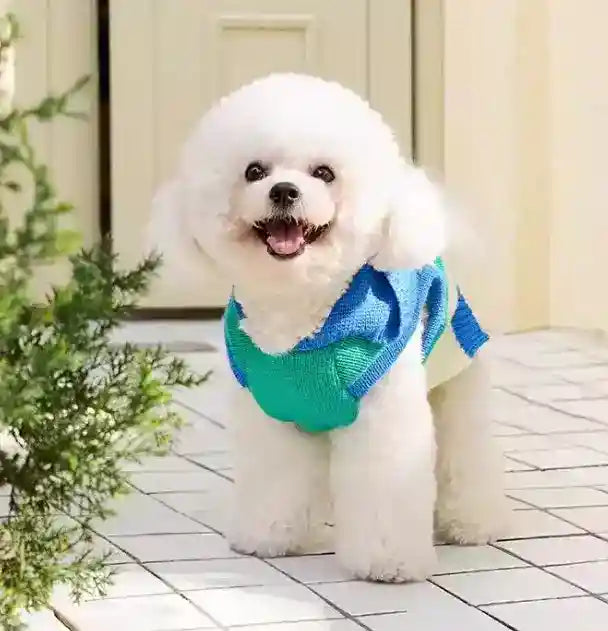 ピークスフード付き犬用セーター - 暖かいブルーストライプ