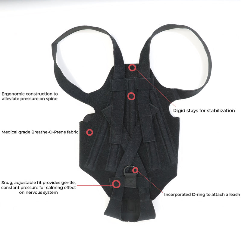 Tutore Ortopedico per Cani - Supporto Schiena IVDD by Dog Moda