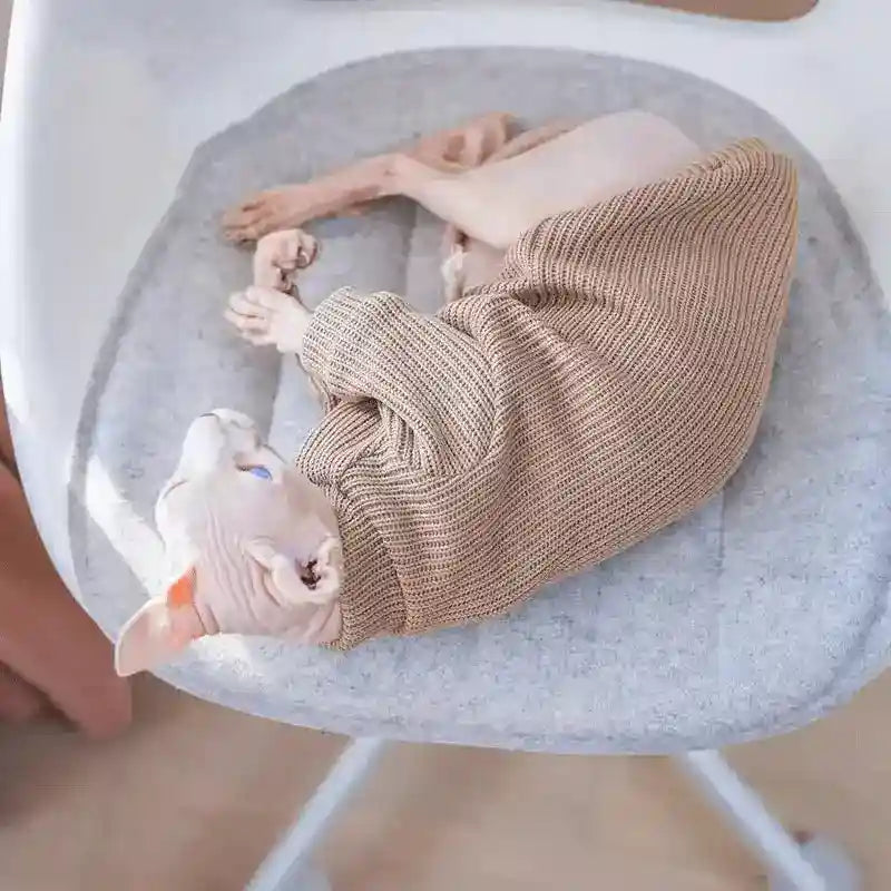 Maglia Elasticizzata per Gatti - Morbida e Comfort per Tutte le Stagioni by Dog Moda