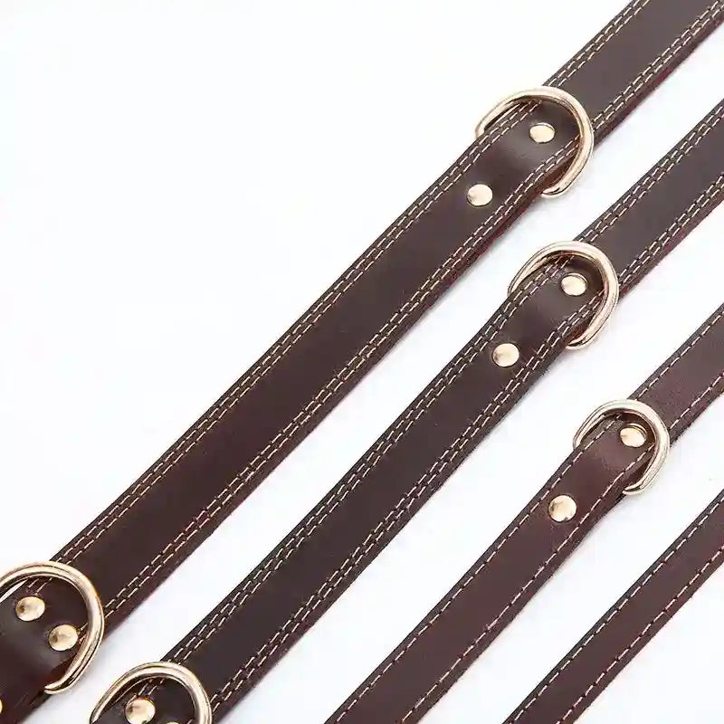 Collare Cani Pelle Marrone - Resistente e Regolabile by Dog Moda