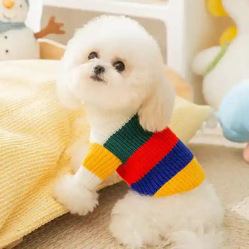 Maglione Patchwork a Strisce Colorate per Cani e Gatti by Dog Moda