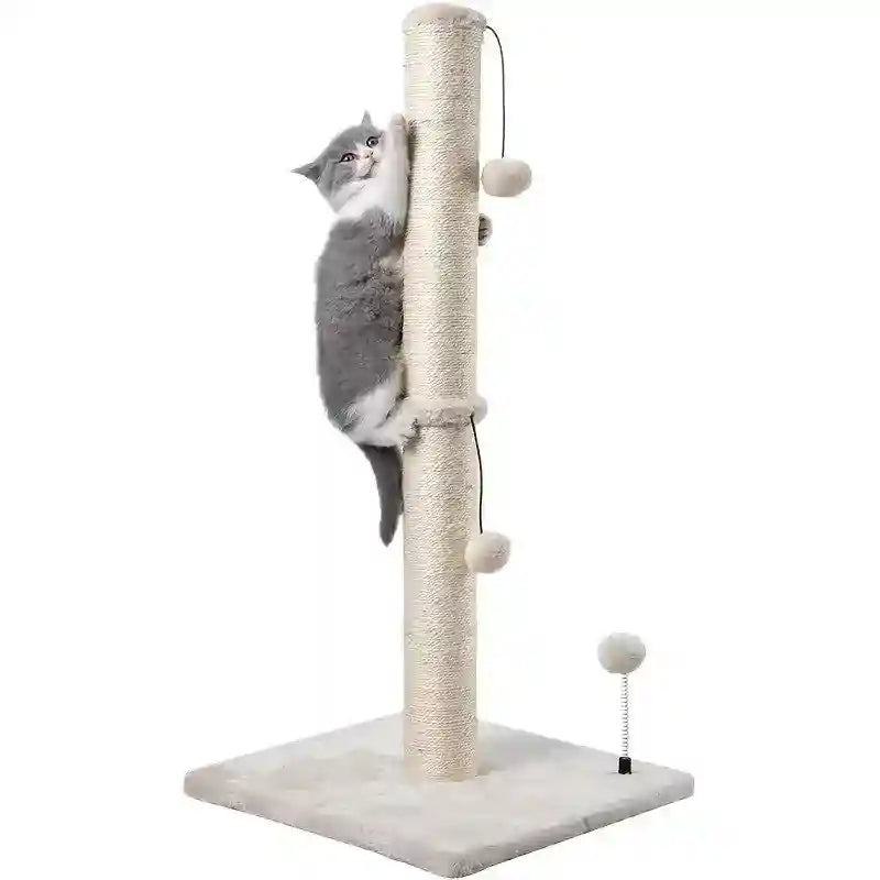 Tiragraffi per Gatti MECOOL Basics - 2 Misure Disponibili by Dog Moda