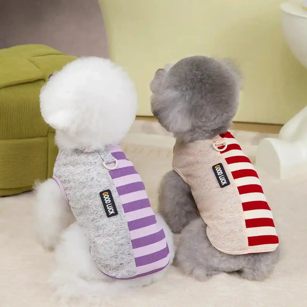 Maglia Pettorina Righe per Cani Piccoli - Modello Good Luck Fashion by null