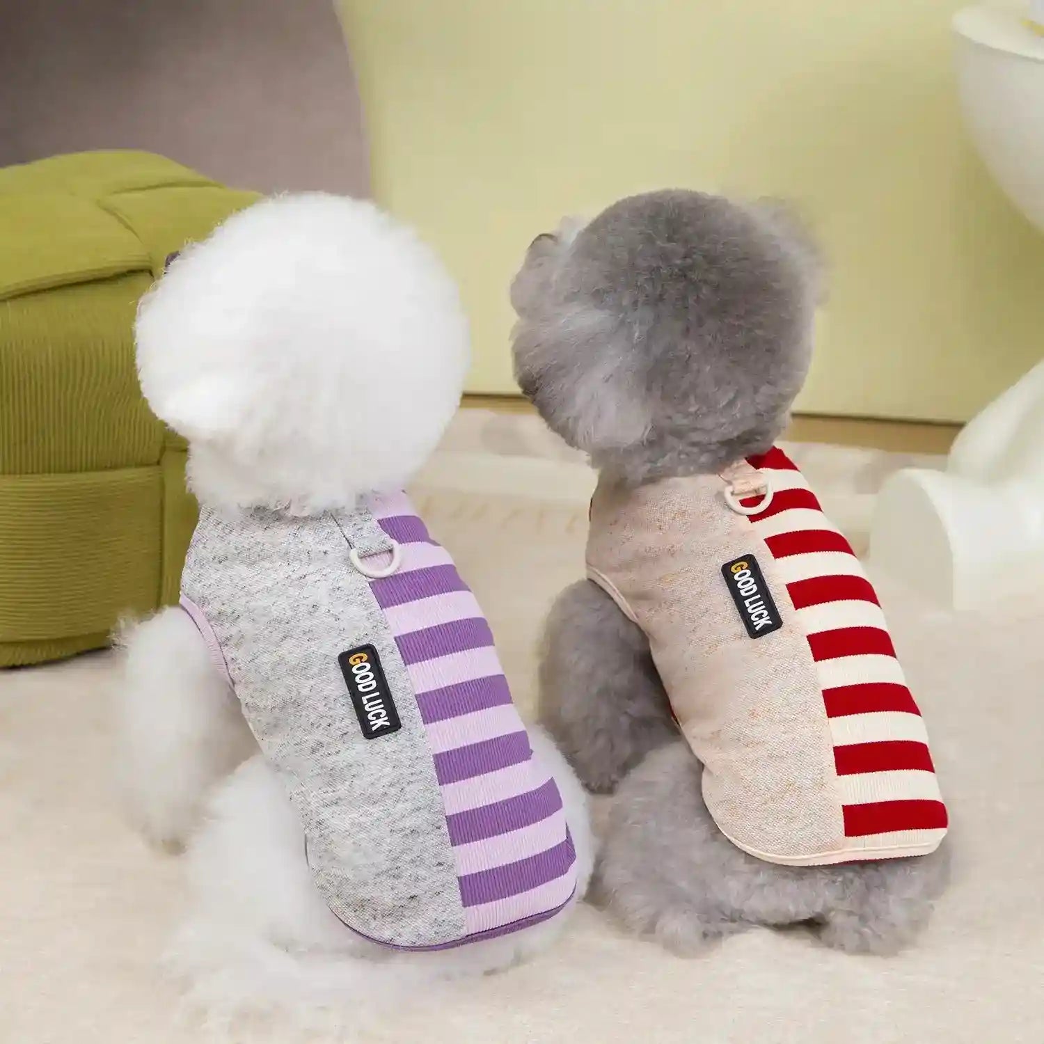 Maglia Pettorina Righe per Cani Piccoli - Modello Good Luck Fashion by null