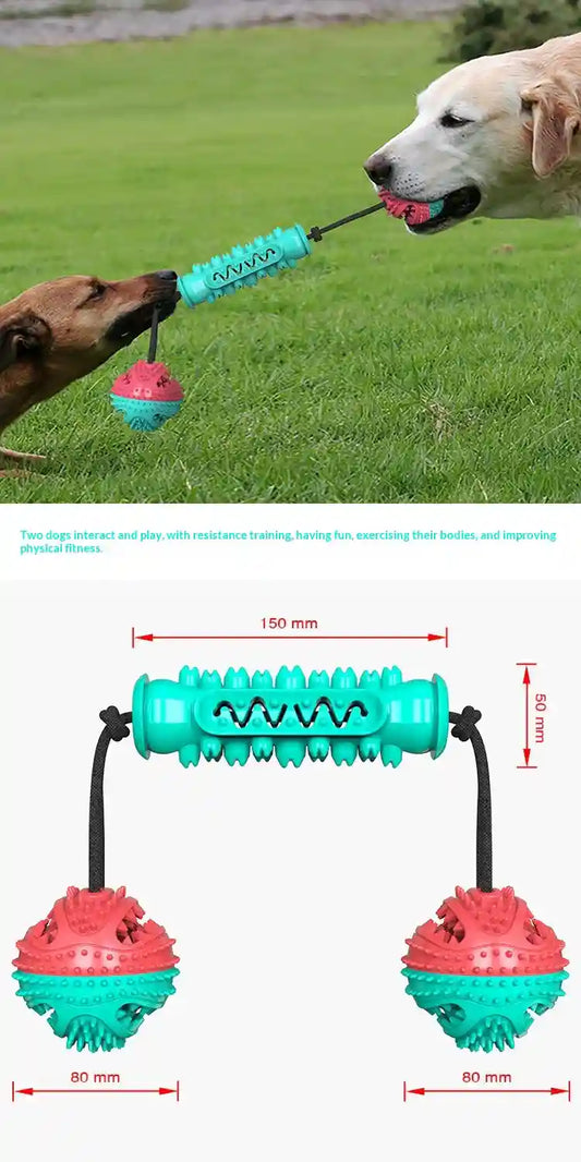 Dog Durable Chew Teeth Cleaning Toy Chew Stick by Dog Moda