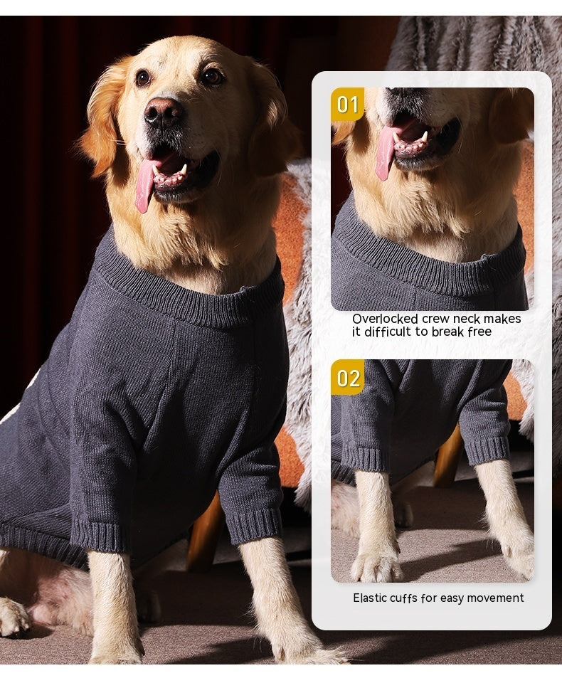 Maglione Orsetto Coccola - Speciale Taglie Grandi - Dog Moda