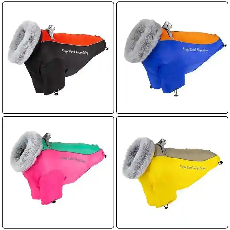 Cappotto Impermeabile Cani Grandi Aspen - Imbottito Eco by Dog Moda