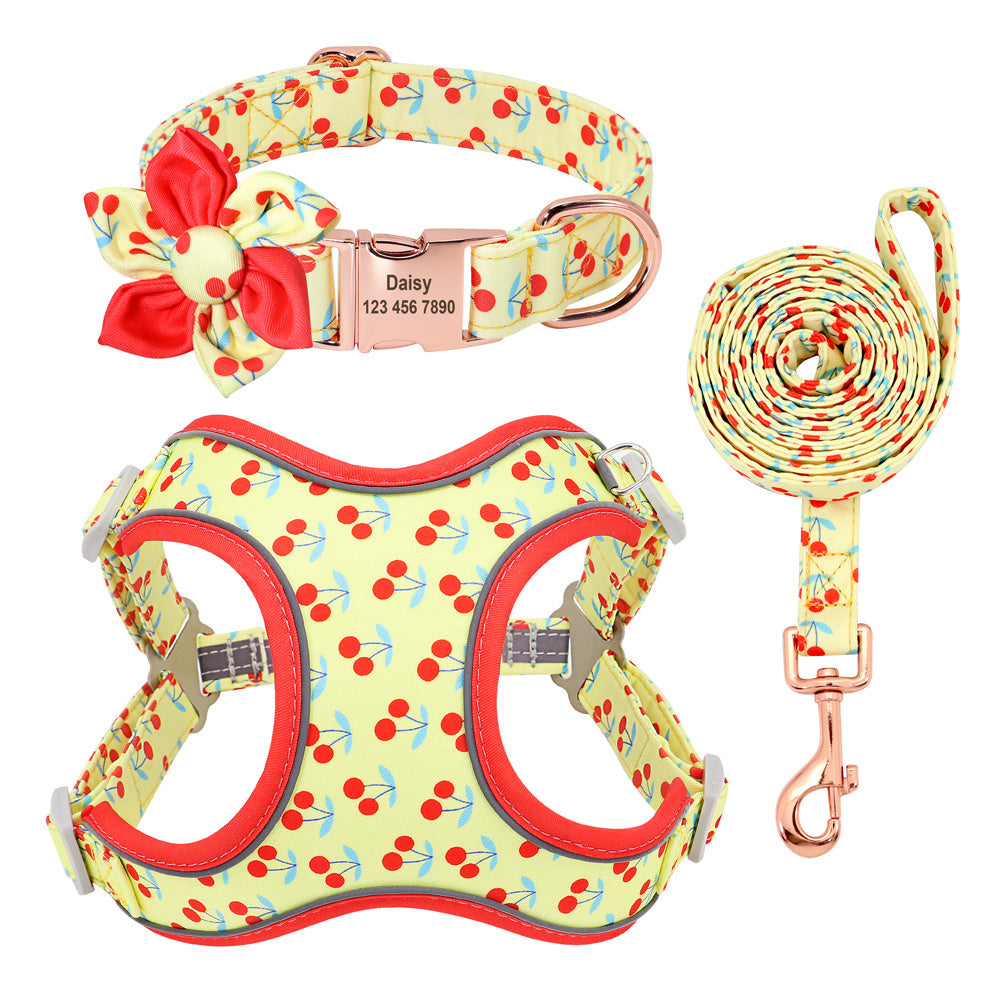 Pettorina per cani "Summer" set completo con collare - Cheepet