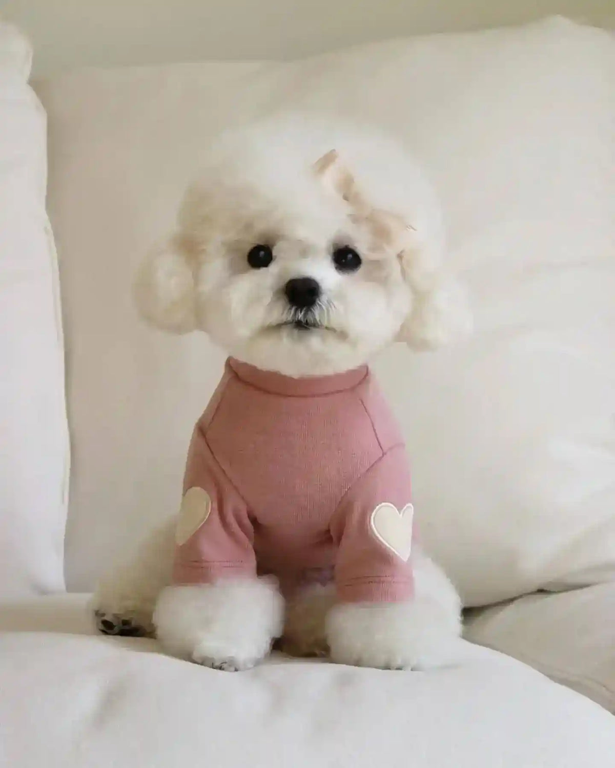 Vestito per Cani con Cuoricini Maniche | Abito Cane Invernale by Dog Moda