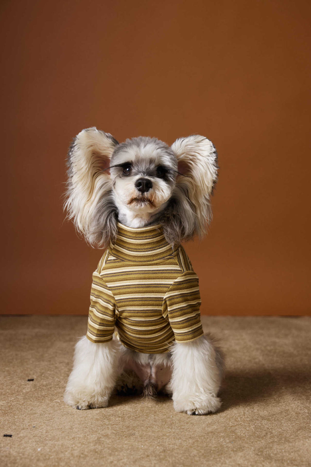 Maglia per Cani a Righe Tawney Bear - Stile Casual