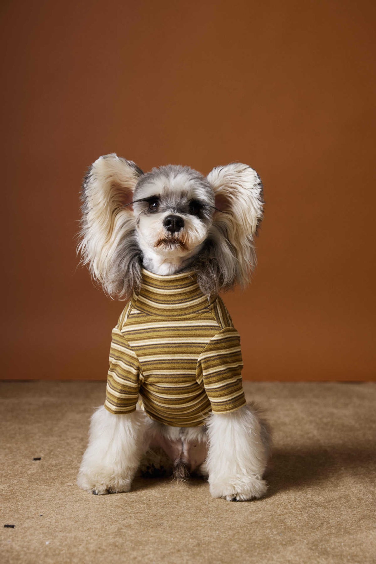 Maglia per Cani a Righe Tawney Bear - Stile Casual by Dog Moda