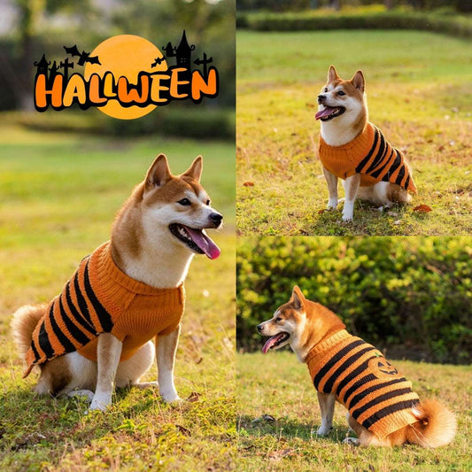 Maglioncino per Cani Halloween a Righe Arancione e Nero con Ricamo di Zucca