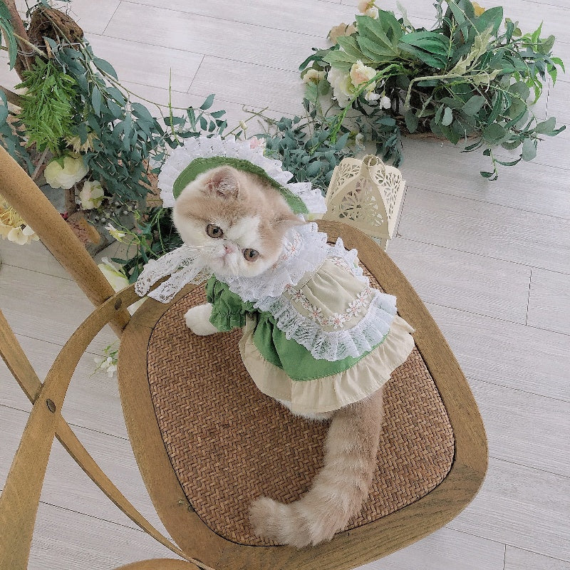 Tyrolean Cat Dress with Hat and Embroidery 🎀