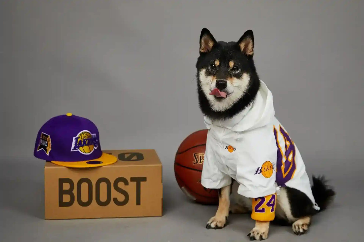 Impermeabile per Cani Lakers con Cappuccio | Giacca Cane Basket by Dog Moda