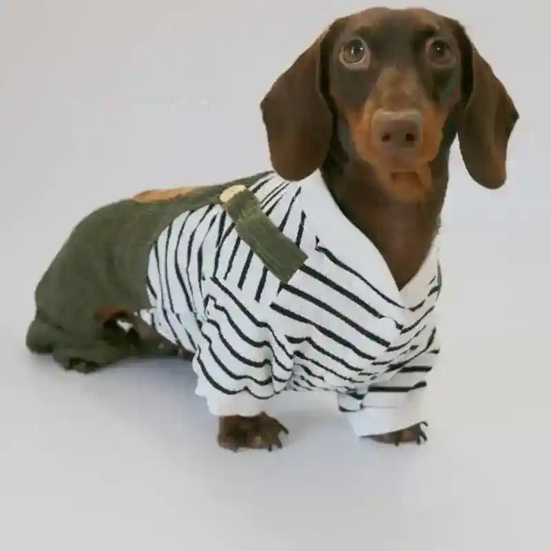 Tuta per Bassotto a righe con bretelle – Moda casual by Dog Moda