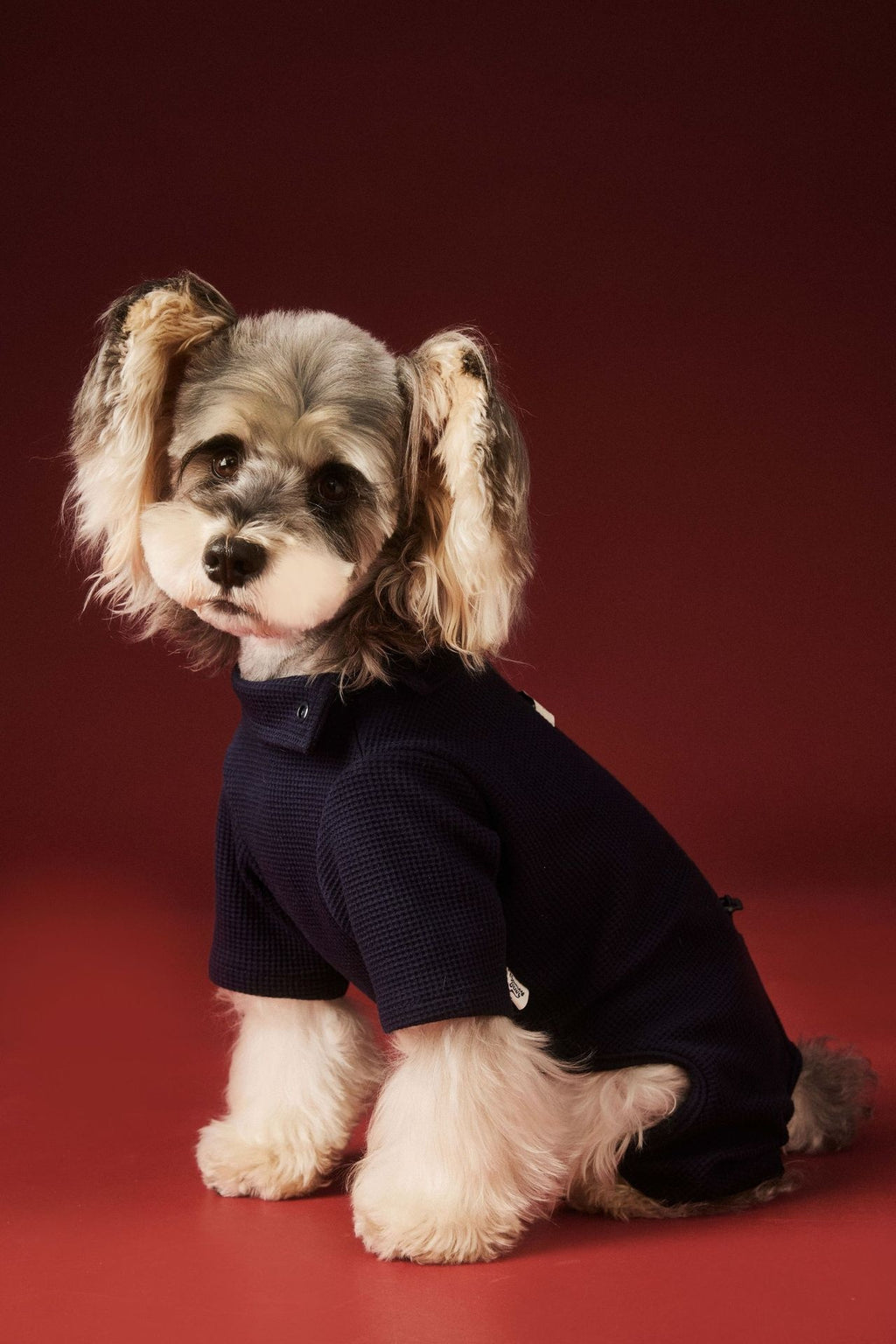 Tutina Cane 4 Zampe Tawney Bear - Pigiama Invernale