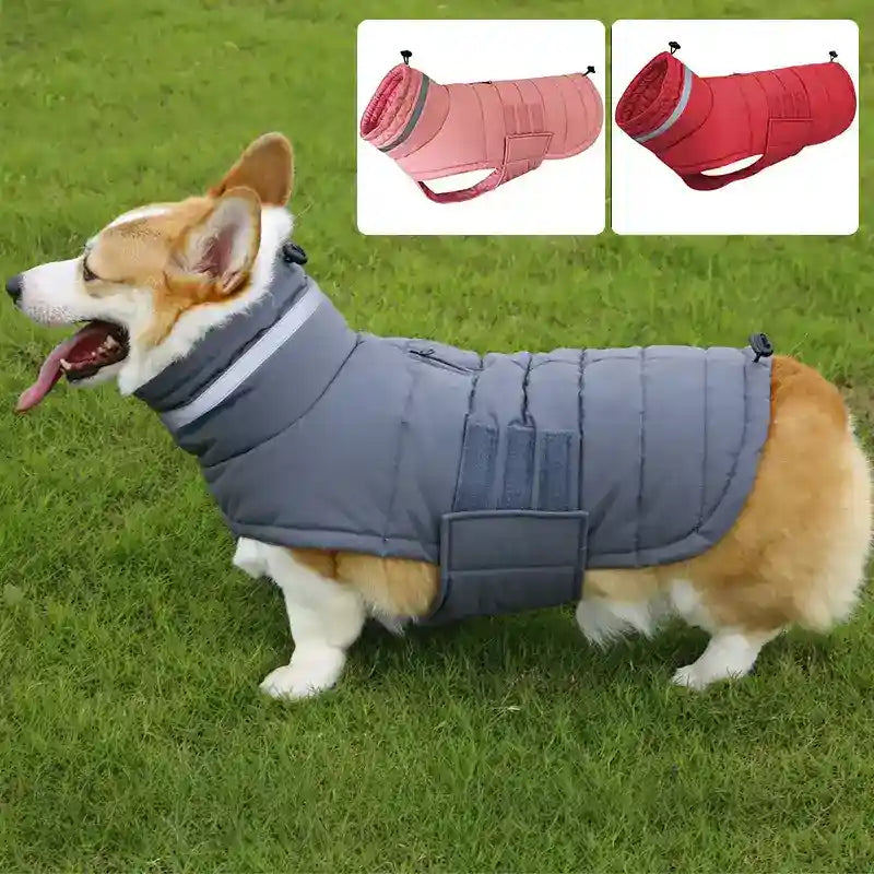 Abrigo impermeable para perros con velcro y detalles reflectantes