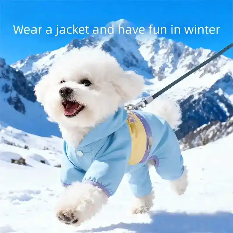 Mono impermeable de invierno para perros - Capucha 4 patas