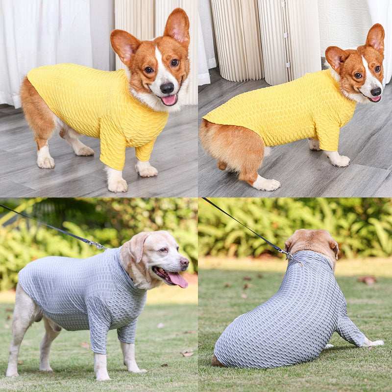 "Springfield" Dog Shirt with Elegant High Collar
