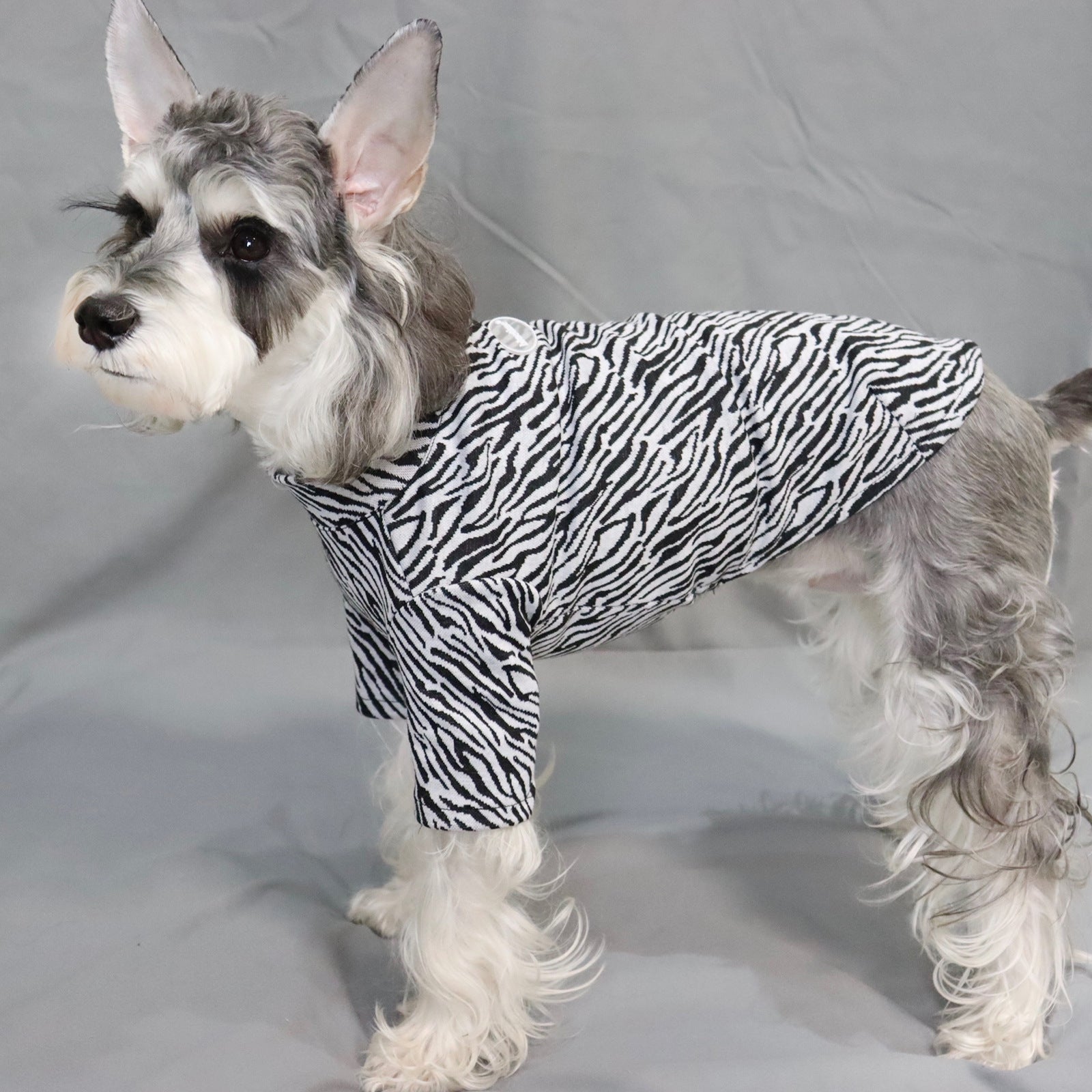 Hundeshirt mit Zebra- und Leopardenmuster: Wilder Style für glamouröse Spaziergänge