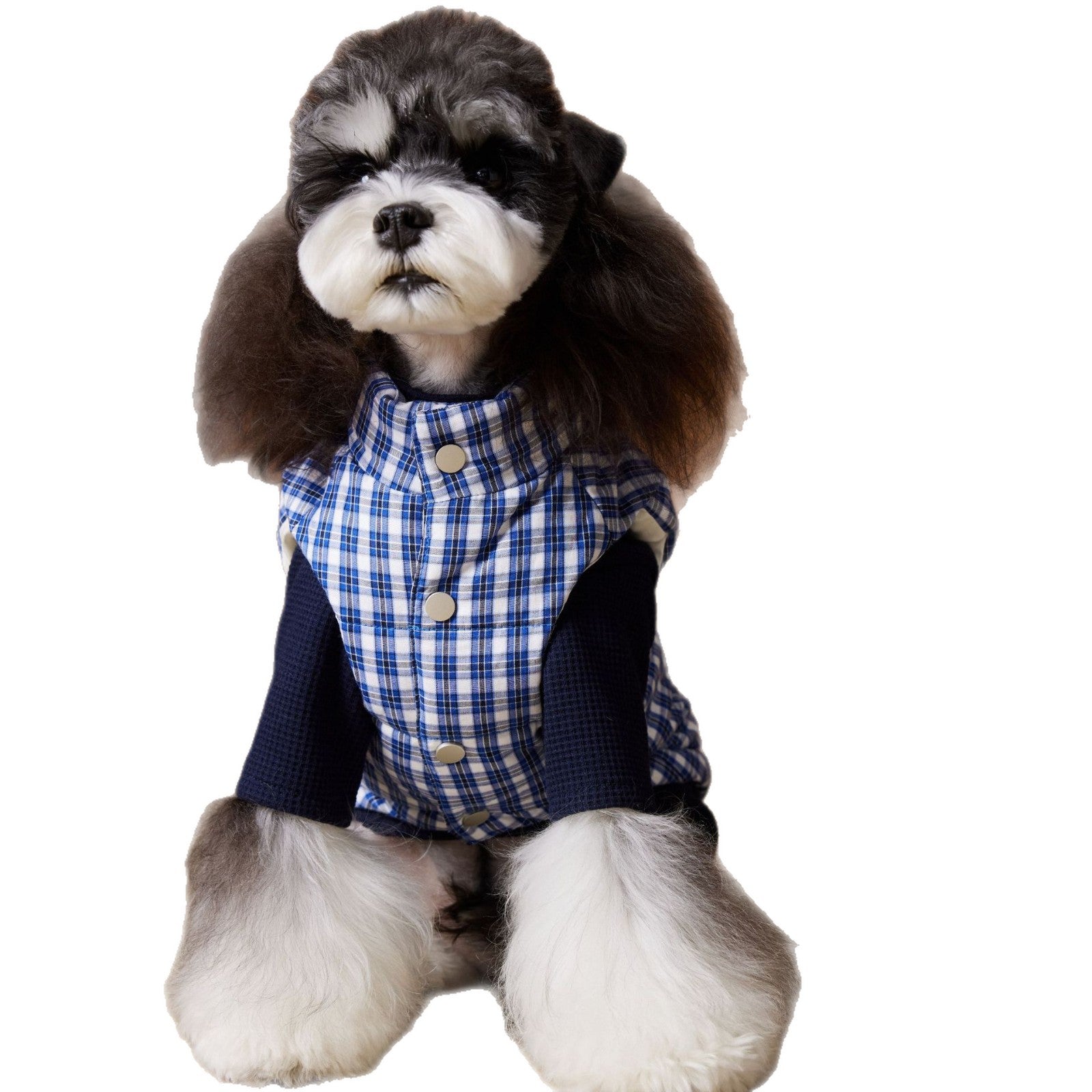 Piumino TNbr per Cani Smanicato - Quadretti Blu e Bianchi