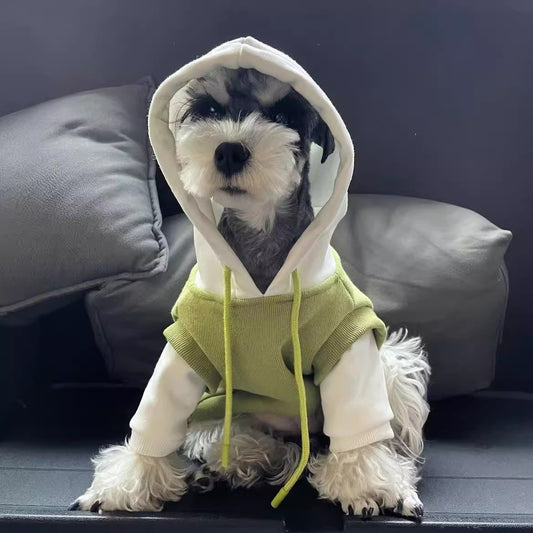 Felpa Cane Memory Cappuccio Fodera Pile Verde Instagram by Dog Moda