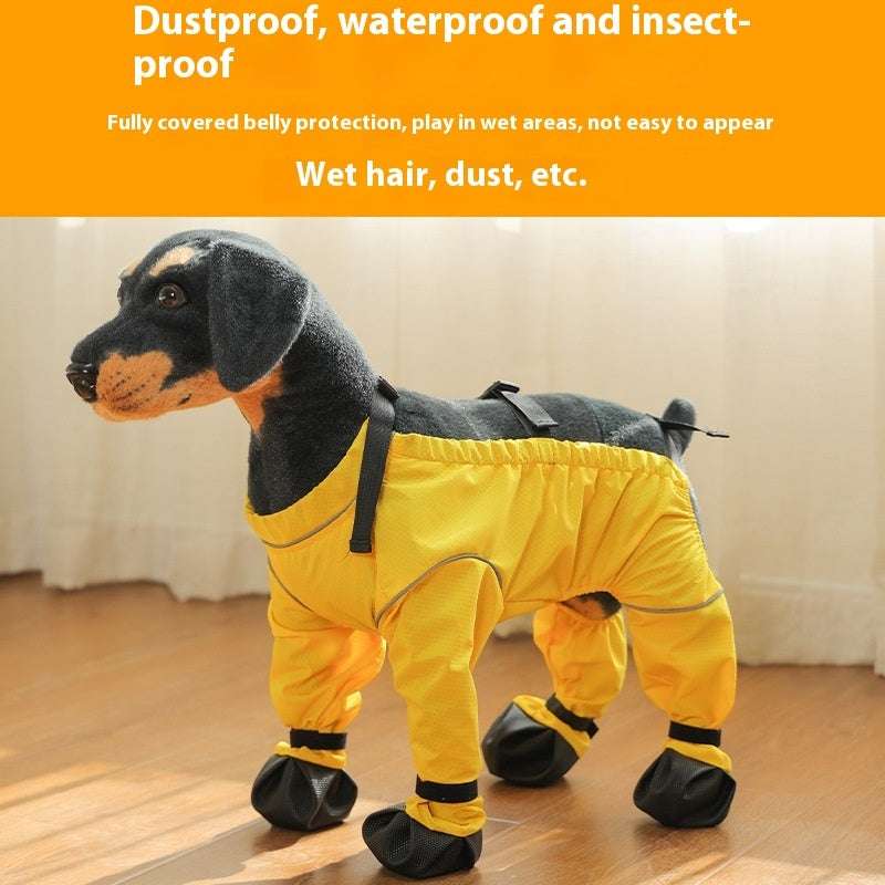 Pantaloni Impermeabili per Cani con Scarpe | Antipioggia e Vento