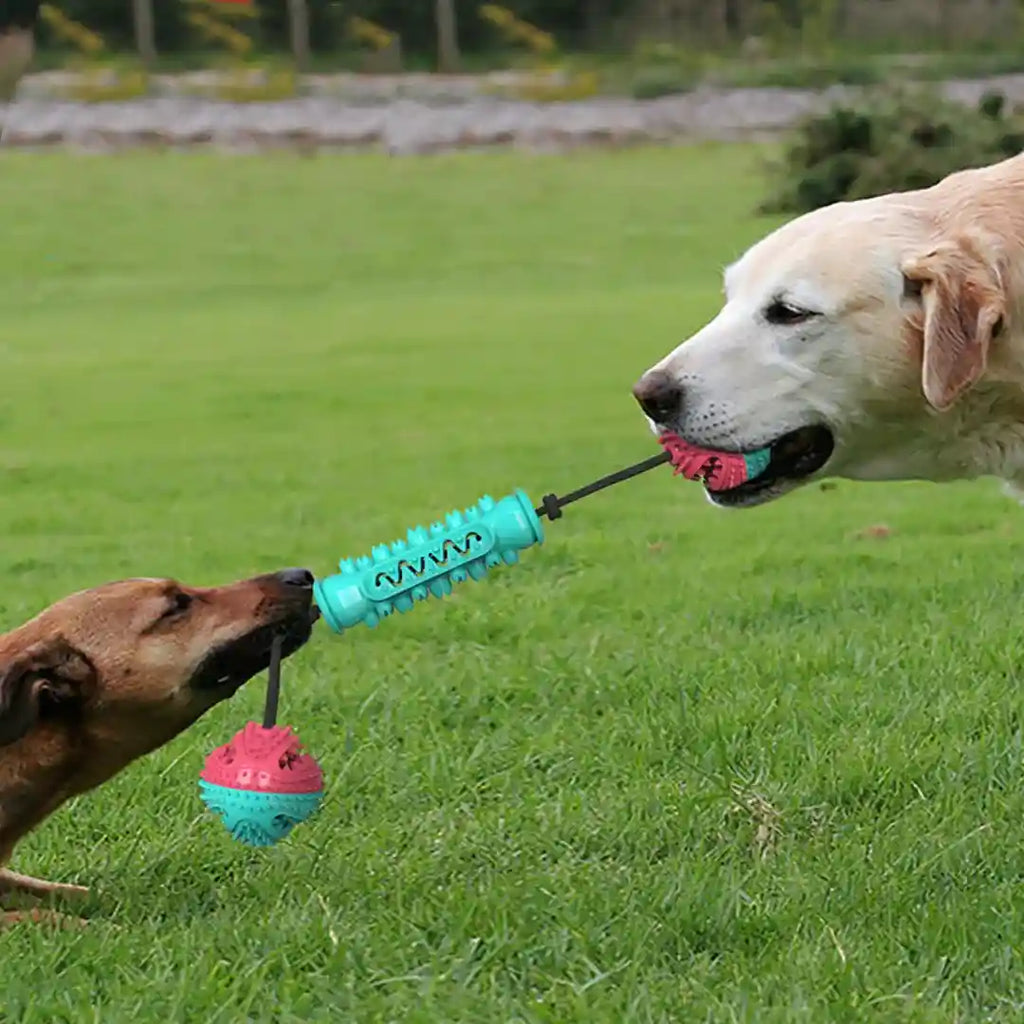 犬用耐久性噛む歯磨きおもちゃ 噛むスティック