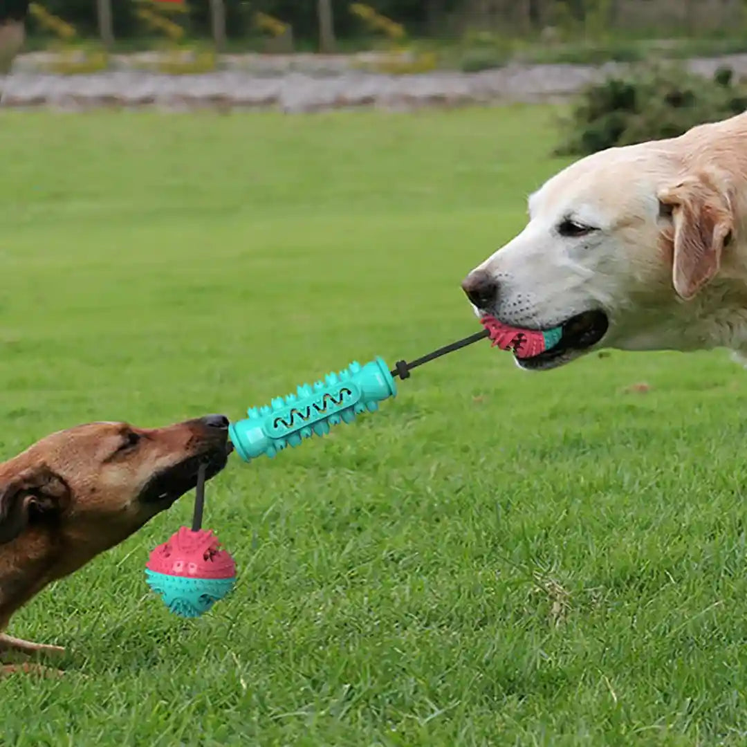 犬用耐久性噛む歯磨きおもちゃ 噛むスティック