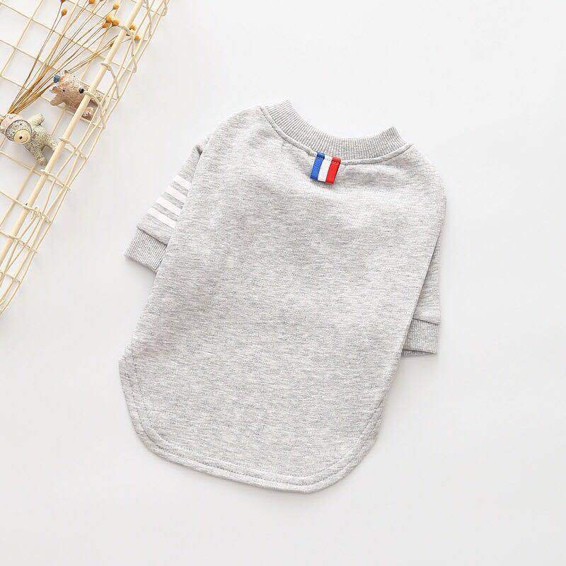 Cotton Dog T-Shirt "Mignon" - Comfort, Style and Protection for Your Dog 