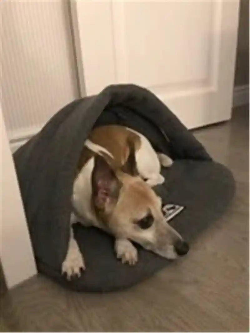 犬と猫用スリーピングバッグ - 洗える柔らかいベッド