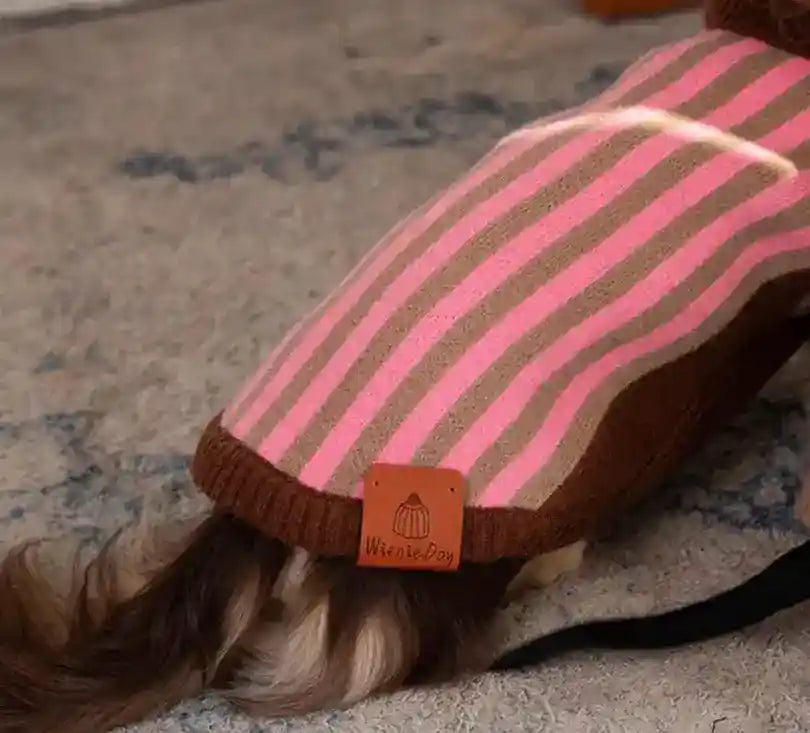 Maglione Cani Collo Alto Wiene Day - Caldo e Trendy by Dog Moda