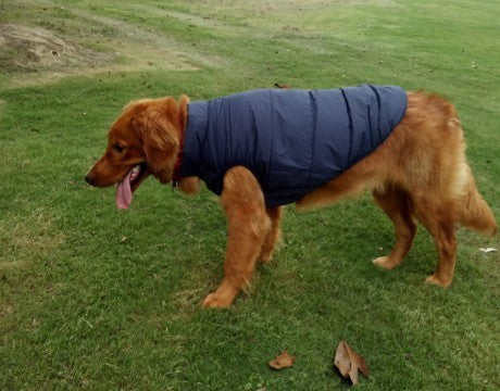 Cappottino per Cani Anti-Vento con Fodera in Pile